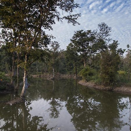 Wowstayz Pachmarhi Ecotel Extérieur photo