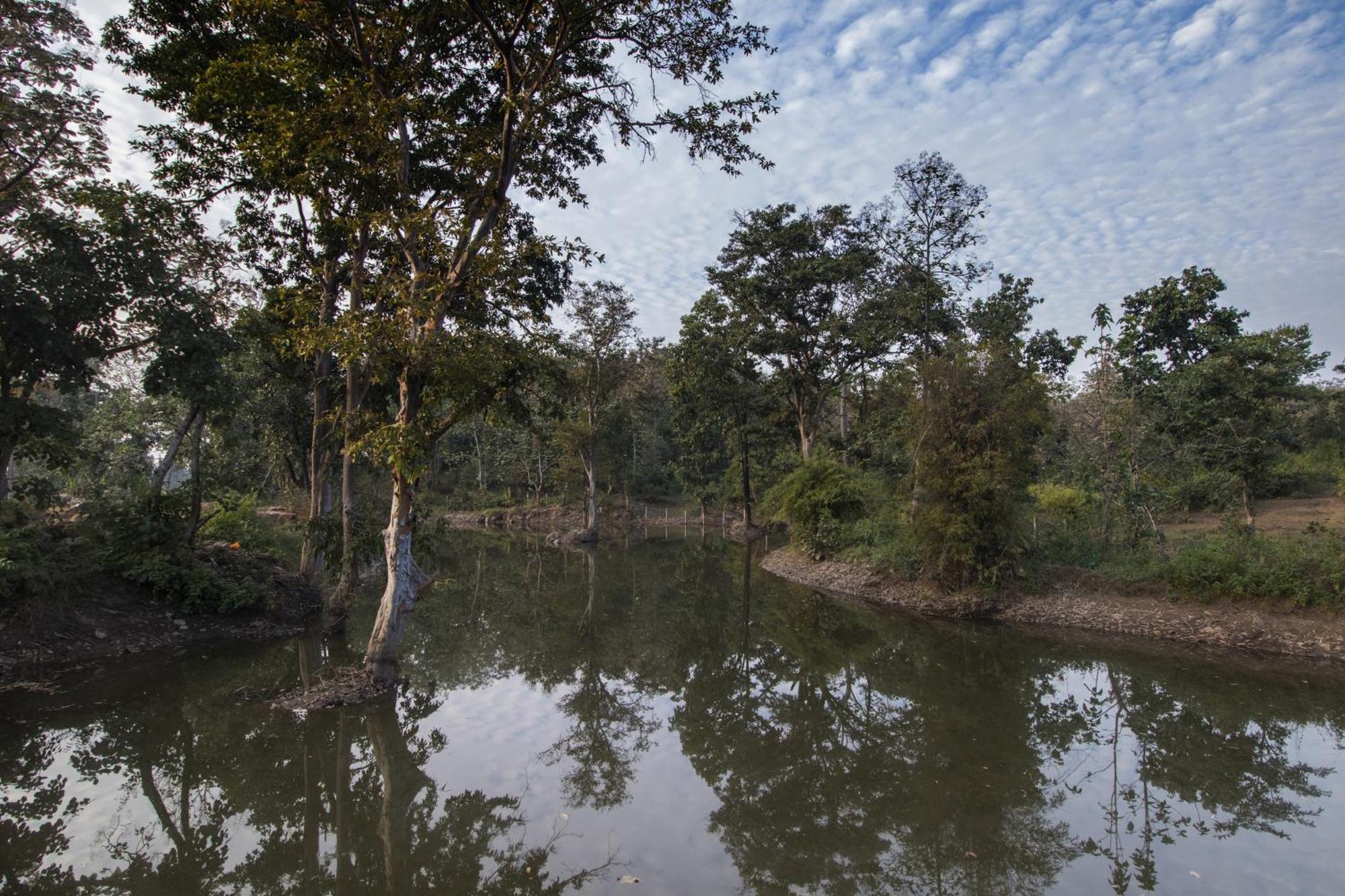 Wowstayz Pachmarhi Ecotel Extérieur photo